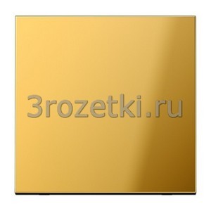 3rozetki.ru - Jung - LS - [GO2990] Клавиша 1я, металл  (золото имитация).