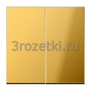 3rozetki.ru - Jung - LS - [GO2995] Клавиша 2я, металл  (золото имитация).