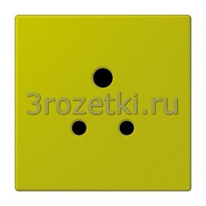 3rozetki.ru - Jung - [LC2171-5P4320F] Накладка, Дуропласт лакиров., vert olive vif.