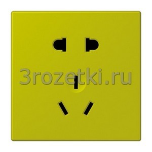 3rozetki.ru - Jung - [LC35215CNP4320F] Накладка, Дуропласт лакиров., vert olive vif.