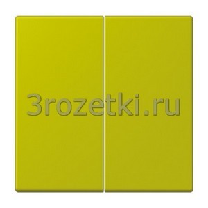 3rozetki.ru - Jung - LeCourbisier - [LC9954320F] Клавиша для двухклавишного выключателя vert olive vif .