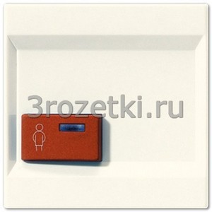 3rozetki.ru - Jung - [LS022A-1] Крышка для Ackermann, тип 73022 A 2, для серии LS, слоновая кость.