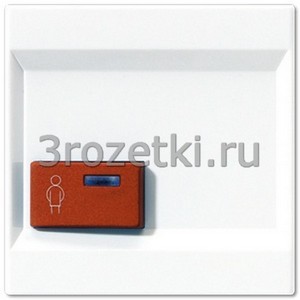 3rozetki.ru - Jung - [LS022A-1WW] Крышка для Ackermann, тип 73022 A 2, для серии LS, белый.