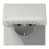 [LS1520BFNAKLLG] SCHUKO®-розетка 16 A / 250 B ~, Термопласт (ударопрочный) блестящий, светло-серый <Jung>