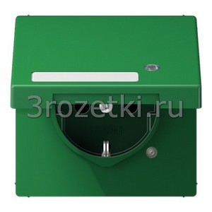 3rozetki.ru - Jung - [LS1520NAKLKOGN] SCHUKO®-розетка 16 A / 250 B ~, Термопласт (ударопрочный) блестящий, зелёный.