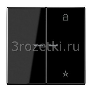 3rozetki.ru - Jung - [LS1701SW] Центральная плата универсальная, Блестящий дуропласт (устойчив к механическим повреждениям), чёрный.