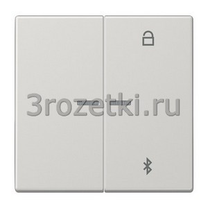 3rozetki.ru - Jung - [LS1751BTLG] Таймер универсальный Bluetooth, Блестящий дуропласт (устойчив к механическим повреждениям), светло-с.