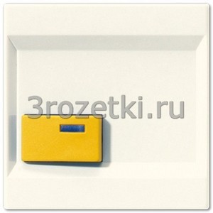 3rozetki.ru - Jung - [LS642D] Крышка для Ackermann, тип 73642 D, для серии LS, слоновая кость.