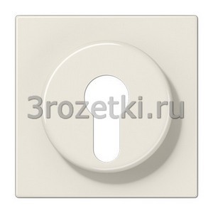 3rozetki.ru - Jung - [LS928] Kрышка, Термопласт (ударопрочный) блестящий, слоновая кость.