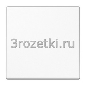 3rozetki.ru - Jung - [LS969-2CORWW] Центральная плата.