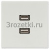 [MALS1153LG] 2 x USB 2.0, Термопласт (ударопрочный) блестящий, светло-серый <Jung>