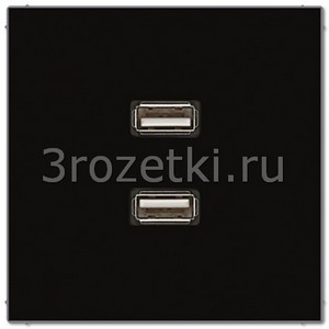 3rozetki.ru - Jung - [MALS1153SW] 2 x USB 2.0, Термопласт (ударопрочный) блестящий, чёрный.