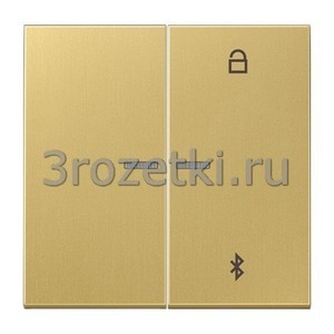 3rozetki.ru - Jung - [ME1751BTC] Таймер универсальный Bluetooth, Металлическое исполнение, латунь Classic.