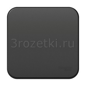 3rozetki.ru - Schneider Electric - [BLNCA101016] BLANCA О/У 1-клавишный ВЫКЛЮЧАТЕЛЬ (cх.1) с самовозв.,ИЗОЛ.ПЛ.,10А,АНТРАЦИТ ().