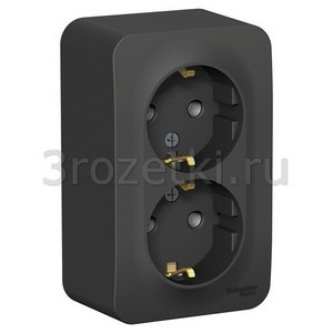 3rozetki.ru - Schneider Electric - [BLNRA010206] BLANCA О/У РОЗЕТКА двойная с заземлением без шторок, 16А, 250В, АНТРАЦИТ ().