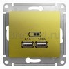 [GSL001033] GLOSSA USB РОЗЕТКА, 5В/2100мА, 2х5В/1050мА, механизм, ФИСТАШКОВЫЙ () <Schneider Electric->